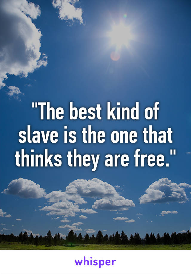 "The best kind of slave is the one that thinks they are free."