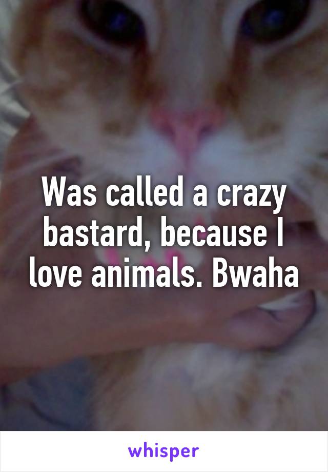 Was called a crazy bastard, because I love animals. Bwaha