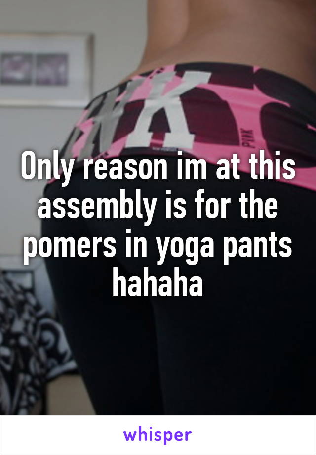 Only reason im at this assembly is for the pomers in yoga pants hahaha