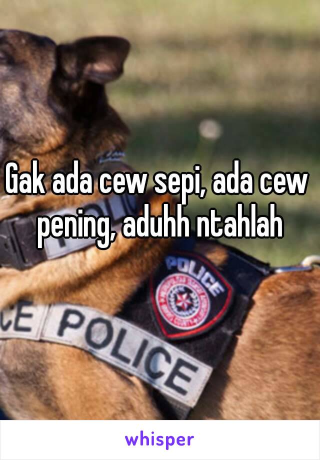 Gak ada cew sepi, ada cew pening, aduhh ntahlah