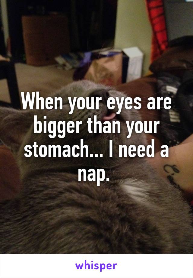 When your eyes are bigger than your stomach... I need a nap. 