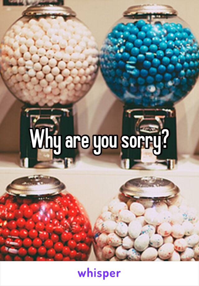 Why are you sorry? 