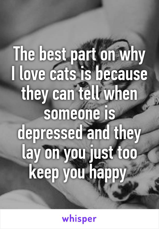 The best part on why I love cats is because they can tell when someone is depressed and they lay on you just too keep you happy 