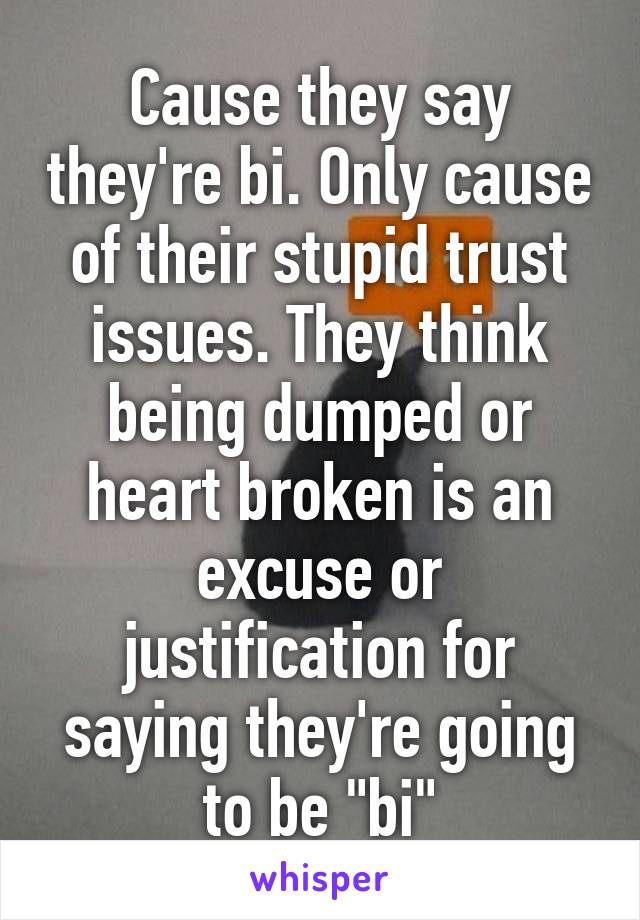 Cause they say they're bi. Only cause of their stupid trust issues. They think being dumped or heart broken is an excuse or justification for saying they're going to be "bi"