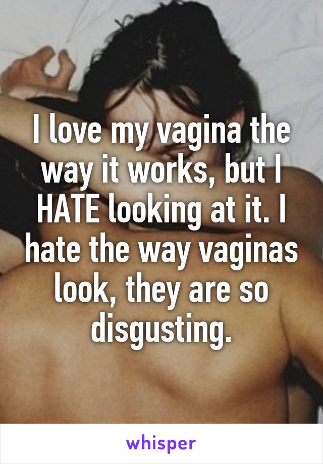 I love my vagina the way it works, but I HATE looking at it. I hate the way vaginas look, they are so disgusting.