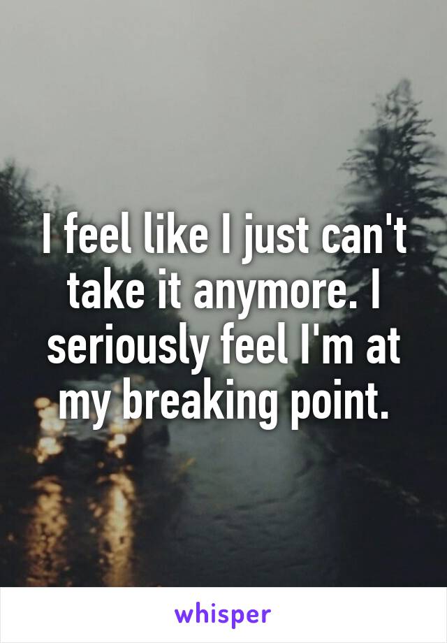 I feel like I just can't take it anymore. I seriously feel I'm at my breaking point.