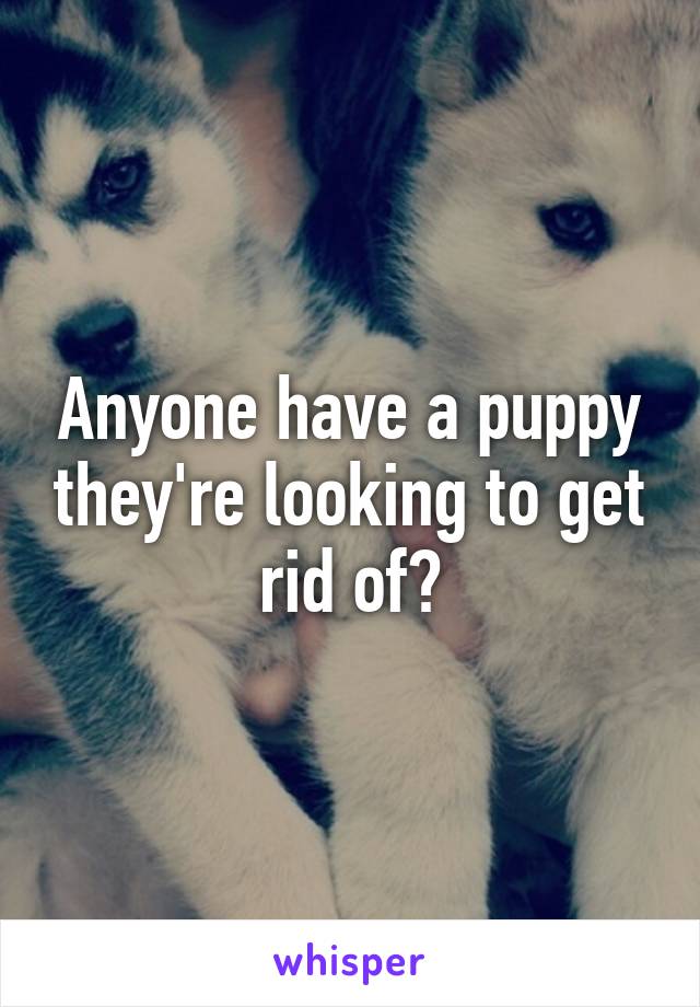 Anyone have a puppy they're looking to get rid of?