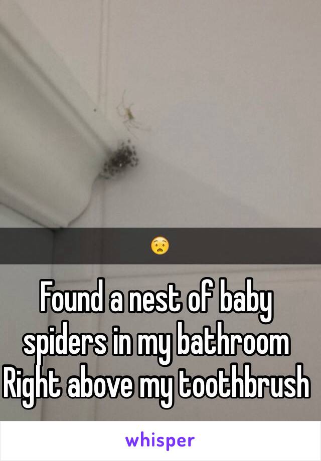 Found a nest of baby spiders in my bathroom 
Right above my toothbrush 