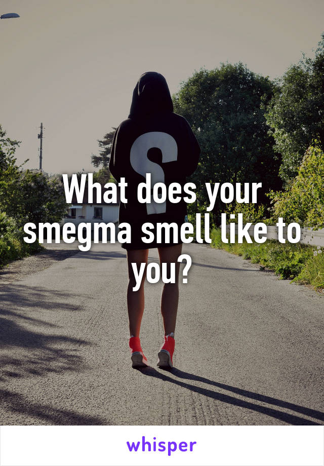 What does your smegma smell like to you?