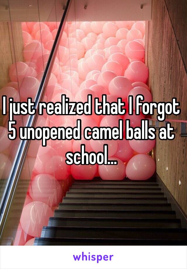 I just realized that I forgot 5 unopened camel balls at school... 