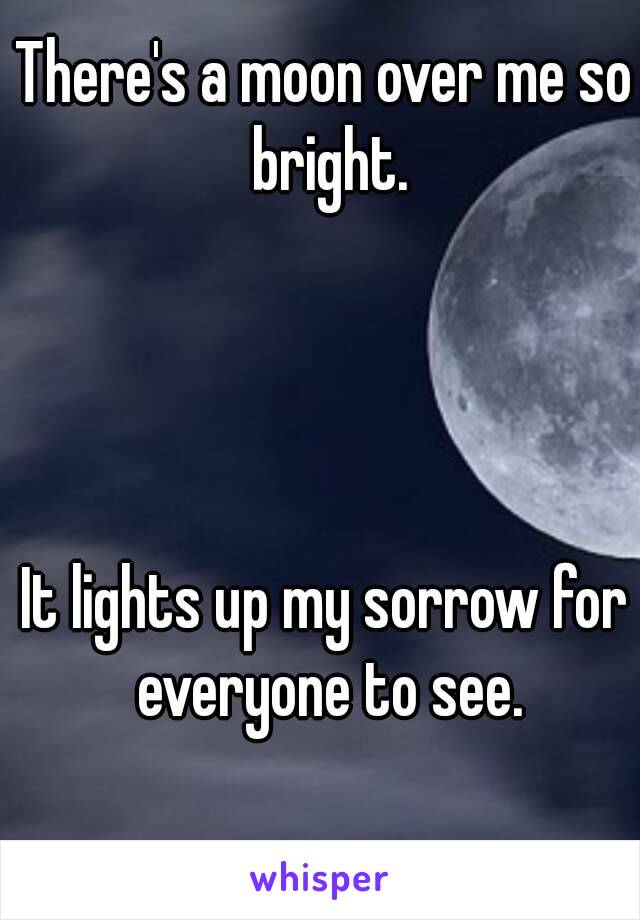 There's a moon over me so bright.




It lights up my sorrow for everyone to see.