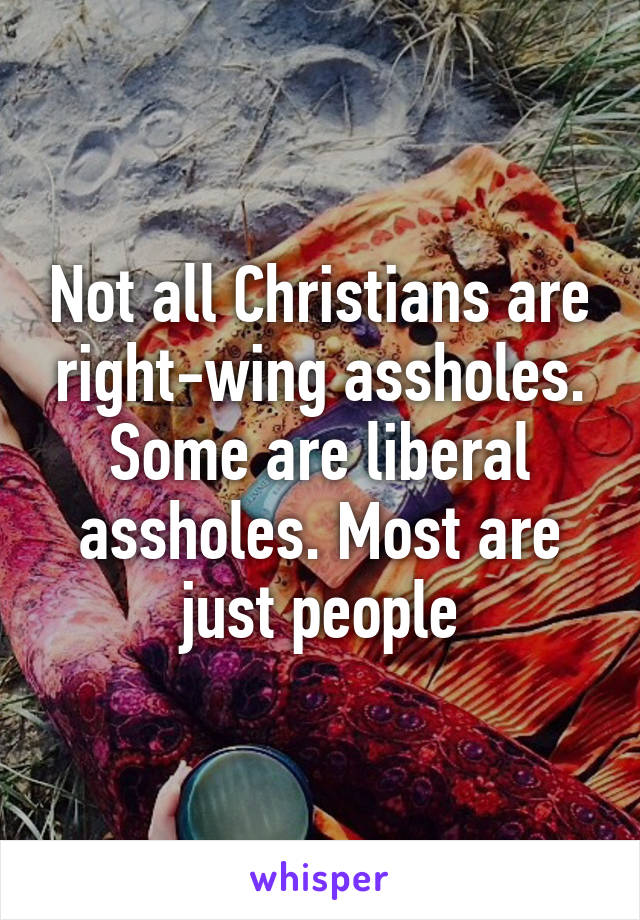 Not all Christians are right-wing assholes. Some are liberal assholes. Most are just people