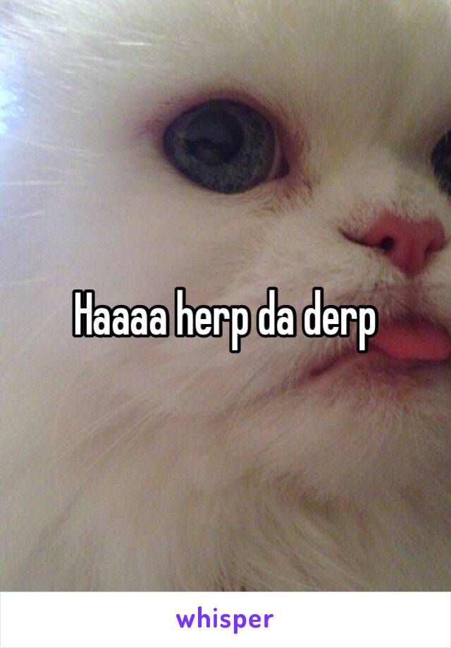 Haaaa herp da derp