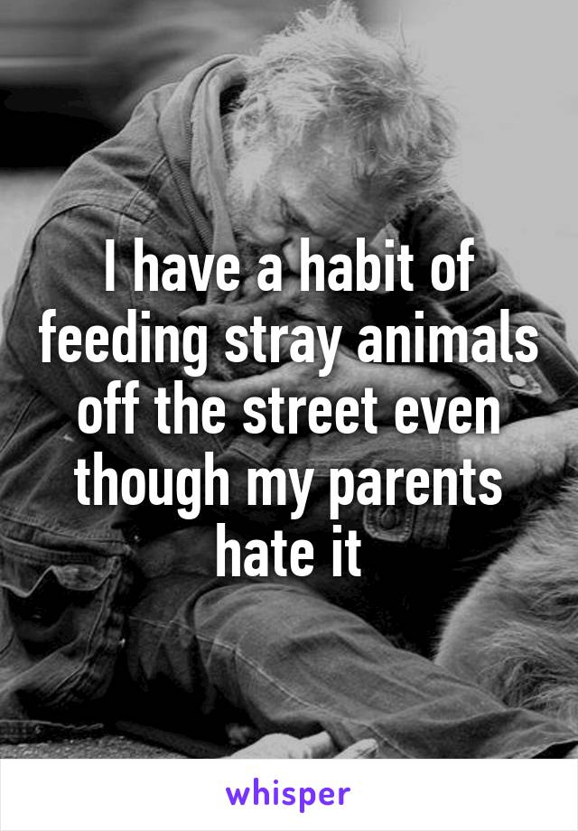 I have a habit of feeding stray animals off the street even though my parents hate it