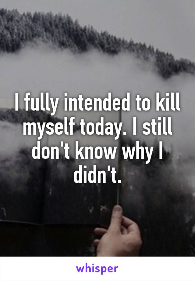 I fully intended to kill myself today. I still don't know why I didn't.