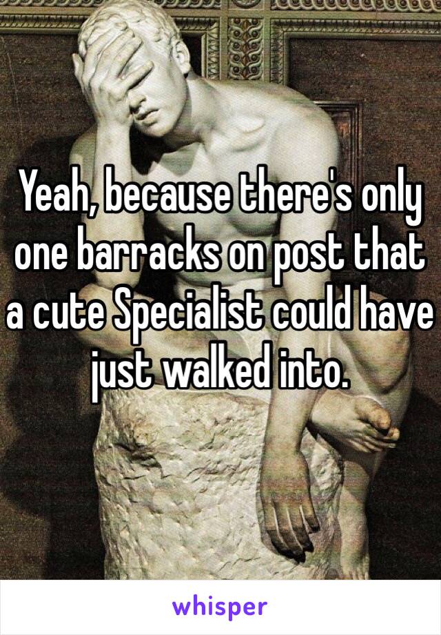 Yeah, because there's only one barracks on post that a cute Specialist could have 
just walked into. 