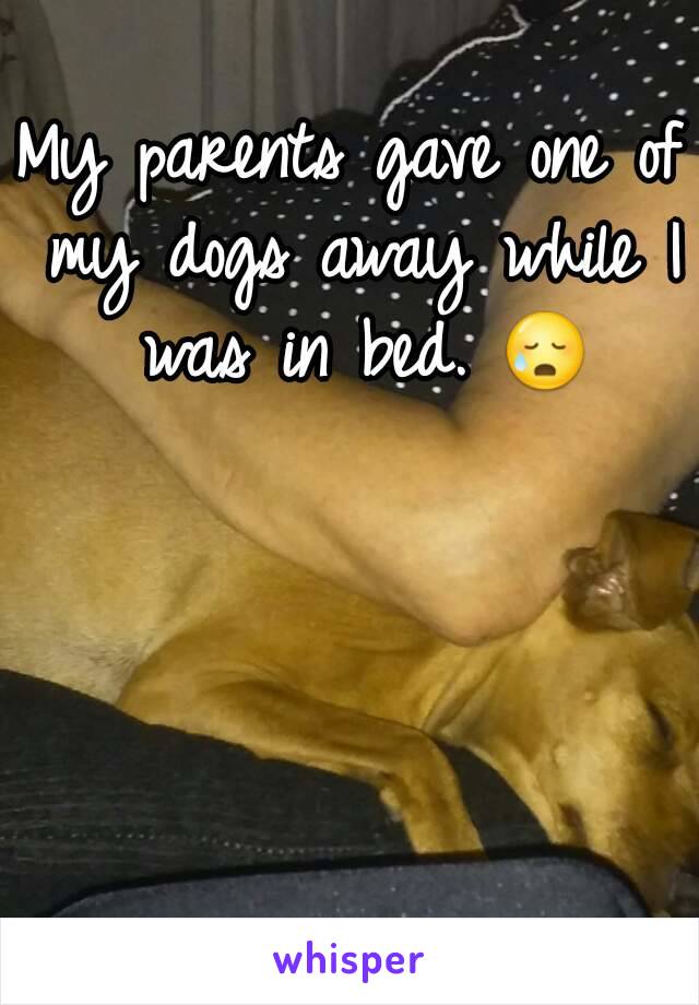 My parents gave one of my dogs away while I was in bed. 😥