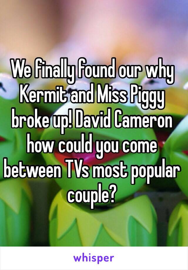 We finally found our why Kermit and Miss Piggy broke up! David Cameron how could you come between TVs most popular couple?