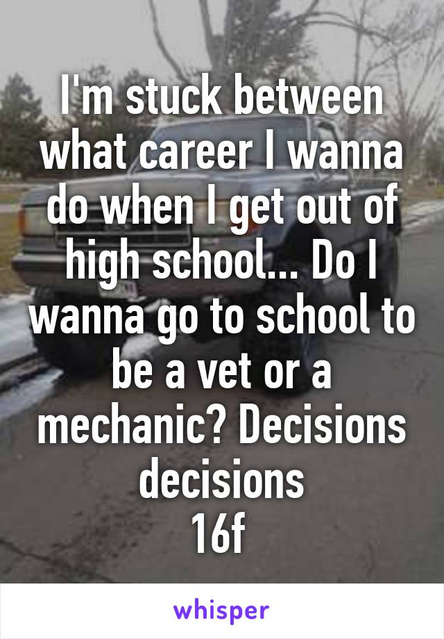 I'm stuck between what career I wanna do when I get out of high school... Do I wanna go to school to be a vet or a mechanic? Decisions decisions
16f 