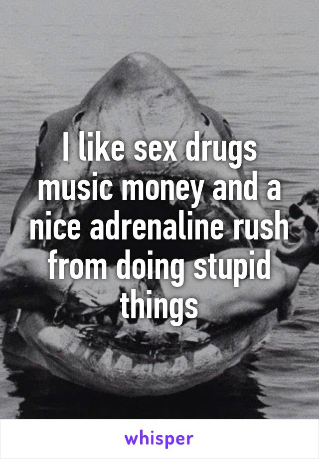 I like sex drugs music money and a nice adrenaline rush from doing stupid things