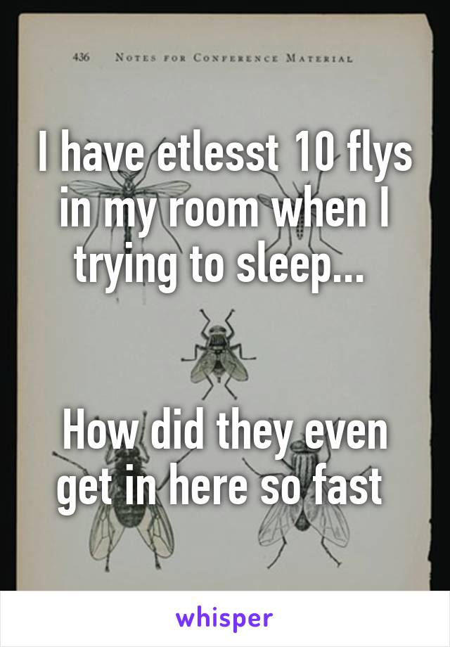 I have etlesst 10 flys in my room when I trying to sleep... 


How did they even get in here so fast 