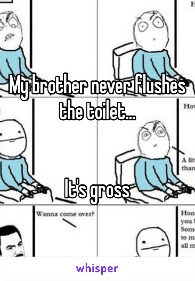 My brother never flushes the toilet...


It's gross