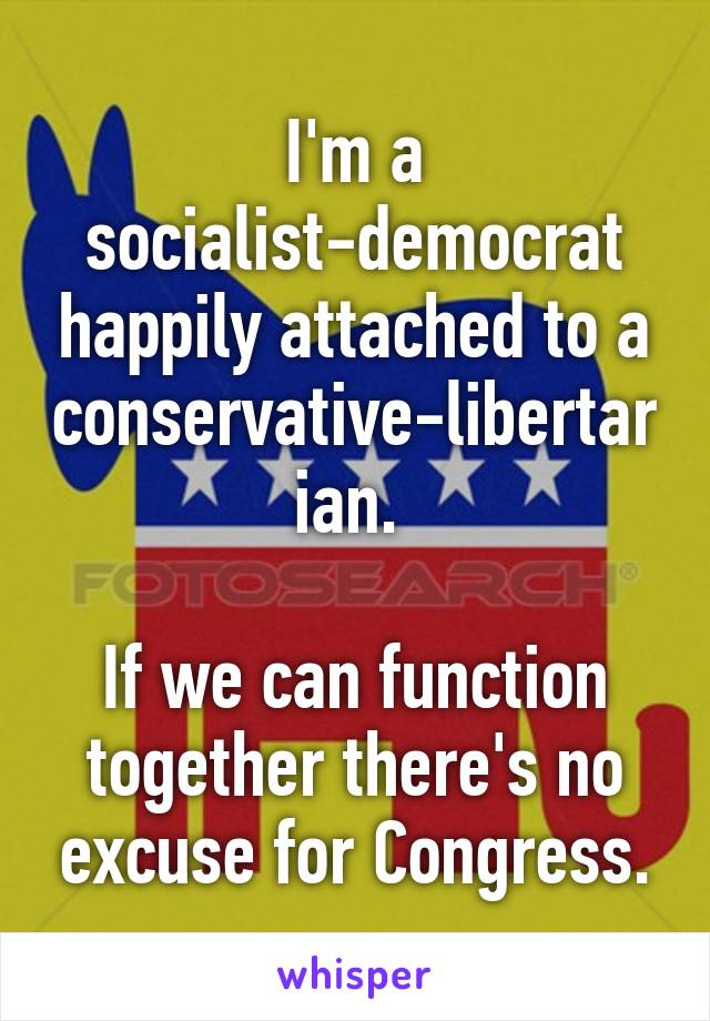 I'm a socialist-democrat happily attached to a conservative-libertarian. 

If we can function together there's no excuse for Congress.