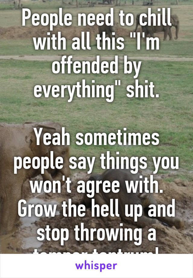 People need to chill with all this "I'm offended by everything" shit.

Yeah sometimes people say things you won't agree with. Grow the hell up and stop throwing a temper tantrum!