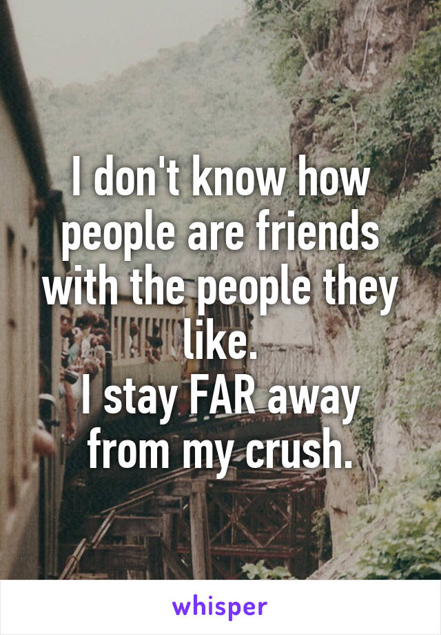 I don't know how people are friends with the people they like.
I stay FAR away from my crush.