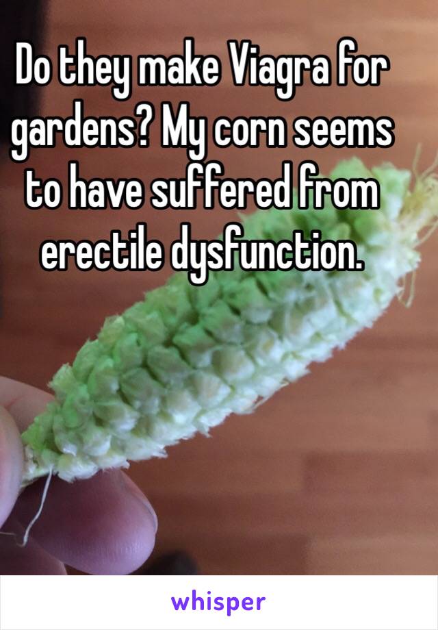 Do they make Viagra for gardens? My corn seems to have suffered from erectile dysfunction. 