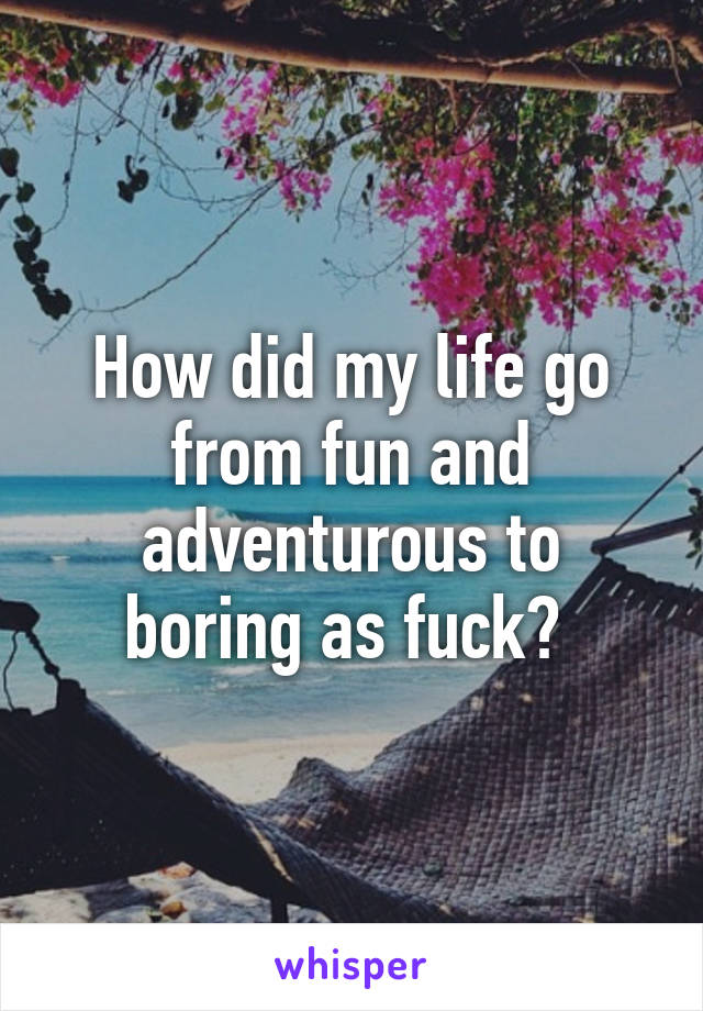 How did my life go from fun and adventurous to boring as fuck? 