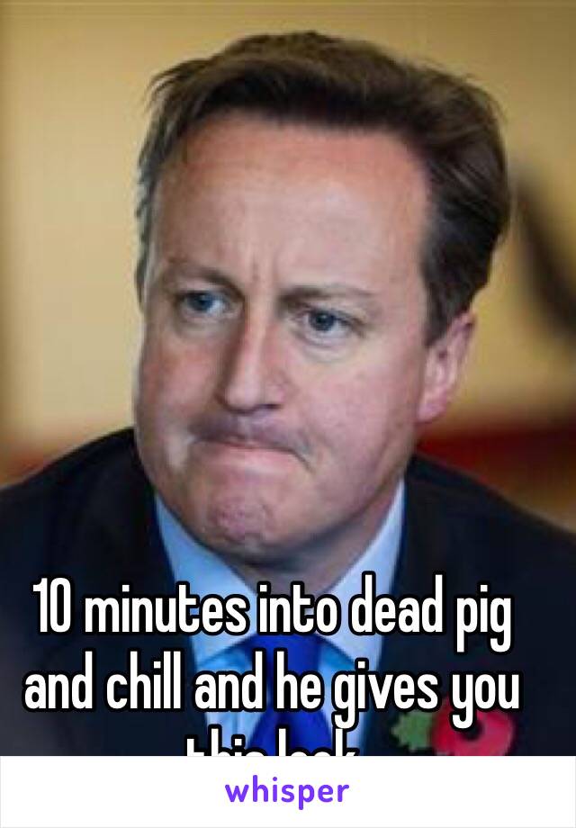 10 minutes into dead pig and chill and he gives you this look 