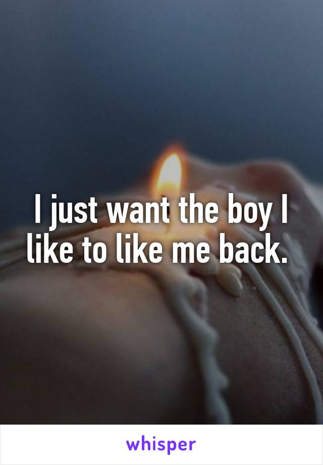 I just want the boy I like to like me back. 