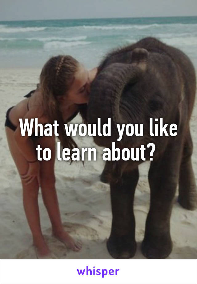 What would you like to learn about? 