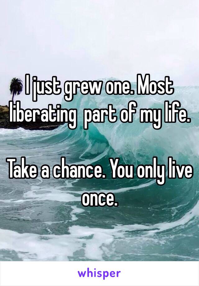 I just grew one. Most liberating  part of my life.

Take a chance. You only live once.