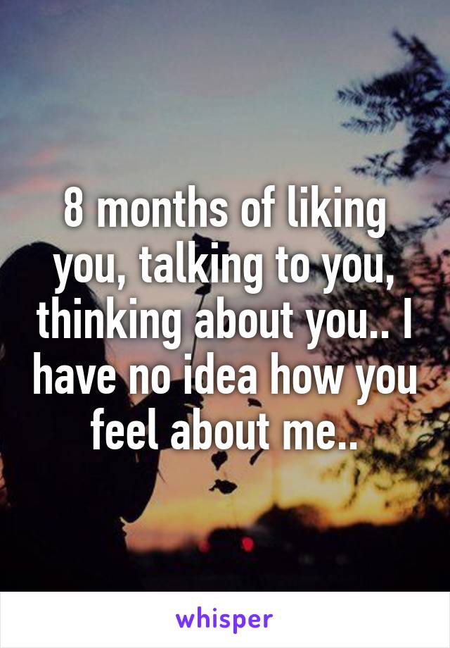 8 months of liking you, talking to you, thinking about you.. I have no idea how you feel about me..