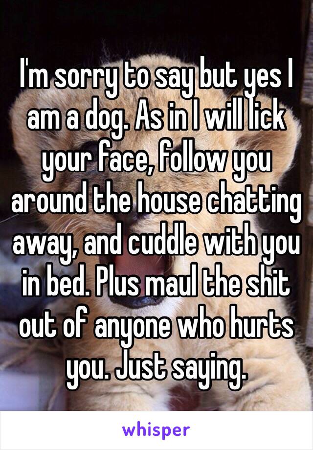 I'm sorry to say but yes I am a dog. As in I will lick your face, follow you around the house chatting away, and cuddle with you in bed. Plus maul the shit out of anyone who hurts you. Just saying.