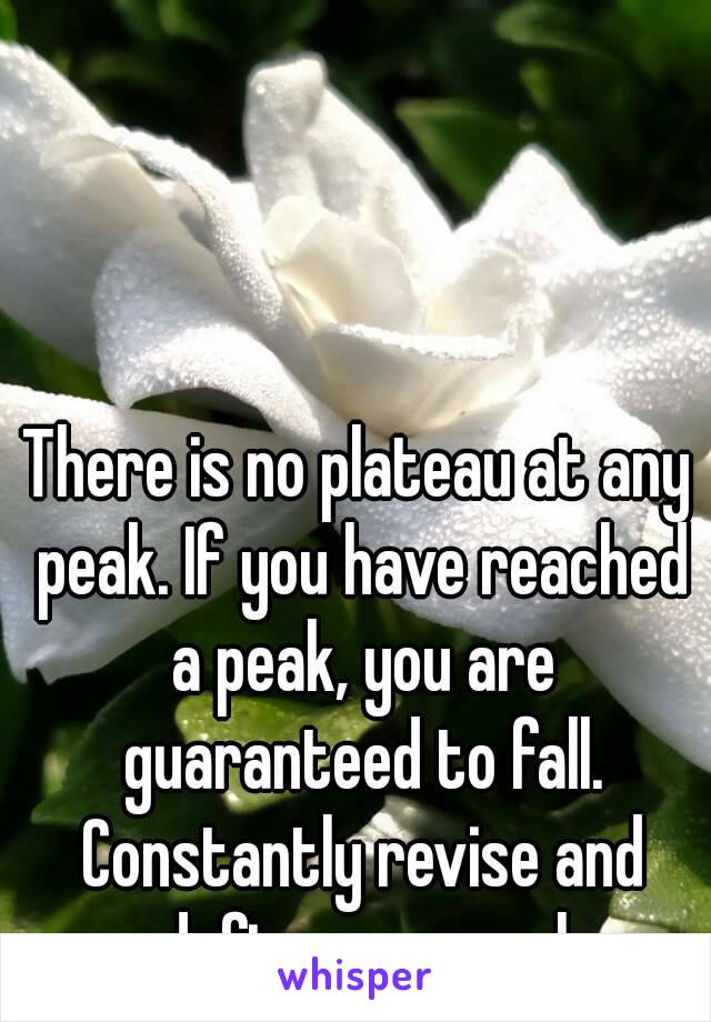 There is no plateau at any peak. If you have reached a peak, you are guaranteed to fall. Constantly revise and redefine your goals. 