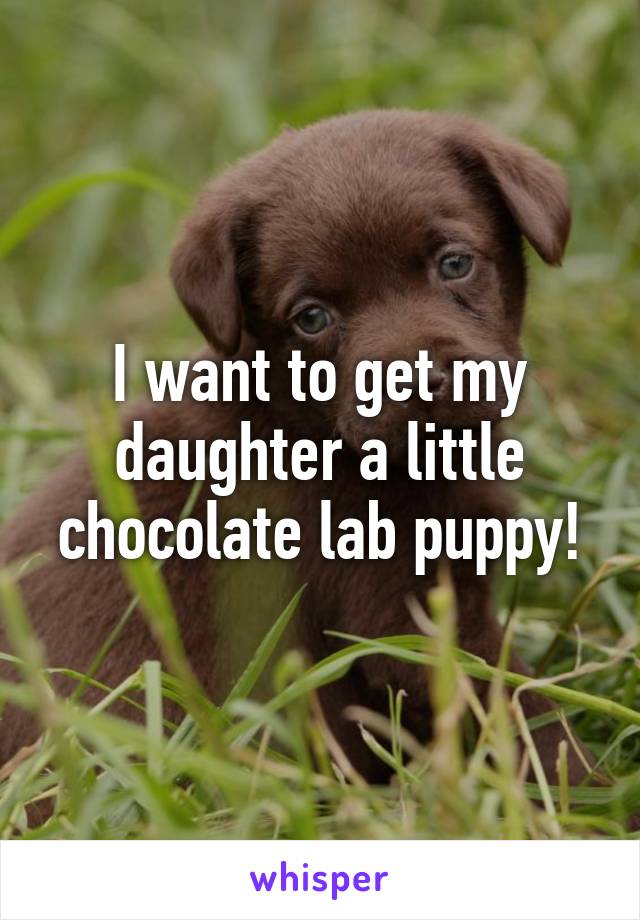 I want to get my daughter a little chocolate lab puppy!