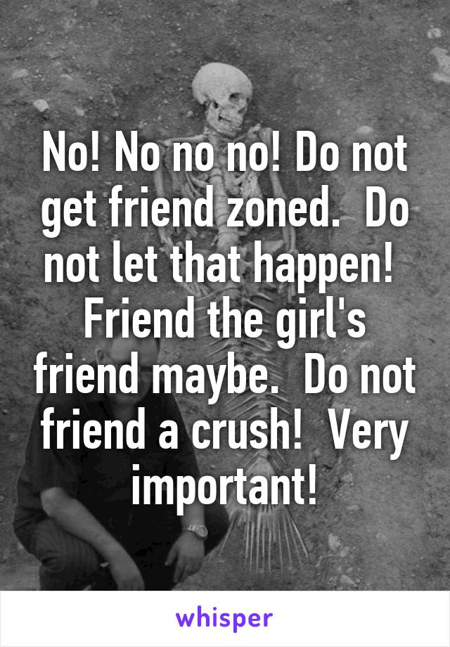 No! No no no! Do not get friend zoned.  Do not let that happen!  Friend the girl's friend maybe.  Do not friend a crush!  Very important!