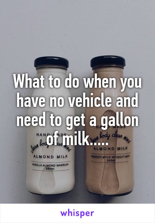 What to do when you have no vehicle and need to get a gallon of milk.....