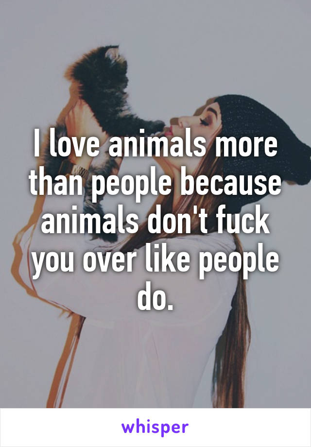 I love animals more than people because animals don't fuck you over like people do.