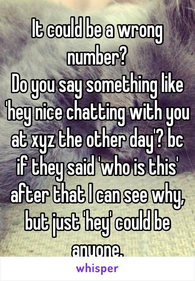 It could be a wrong number?
Do you say something like 'hey nice chatting with you at xyz the other day'? bc if they said 'who is this' after that I can see why, but just 'hey' could be anyone. 