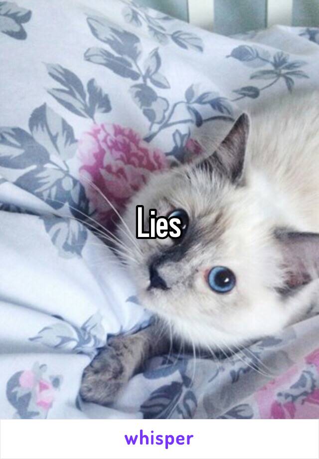 Lies