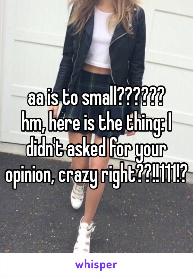 aa is to small?????? 
hm, here is the thing: I didn't asked for your opinion, crazy right??!!111!?