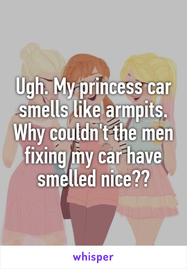 Ugh. My princess car smells like armpits. Why couldn't the men fixing my car have smelled nice??