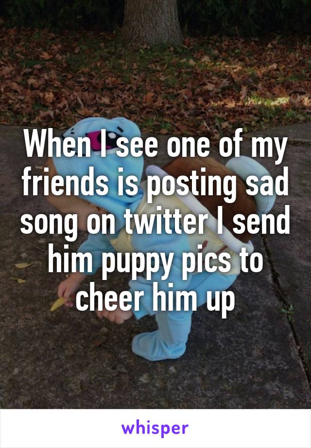 When I see one of my friends is posting sad song on twitter I send him puppy pics to cheer him up