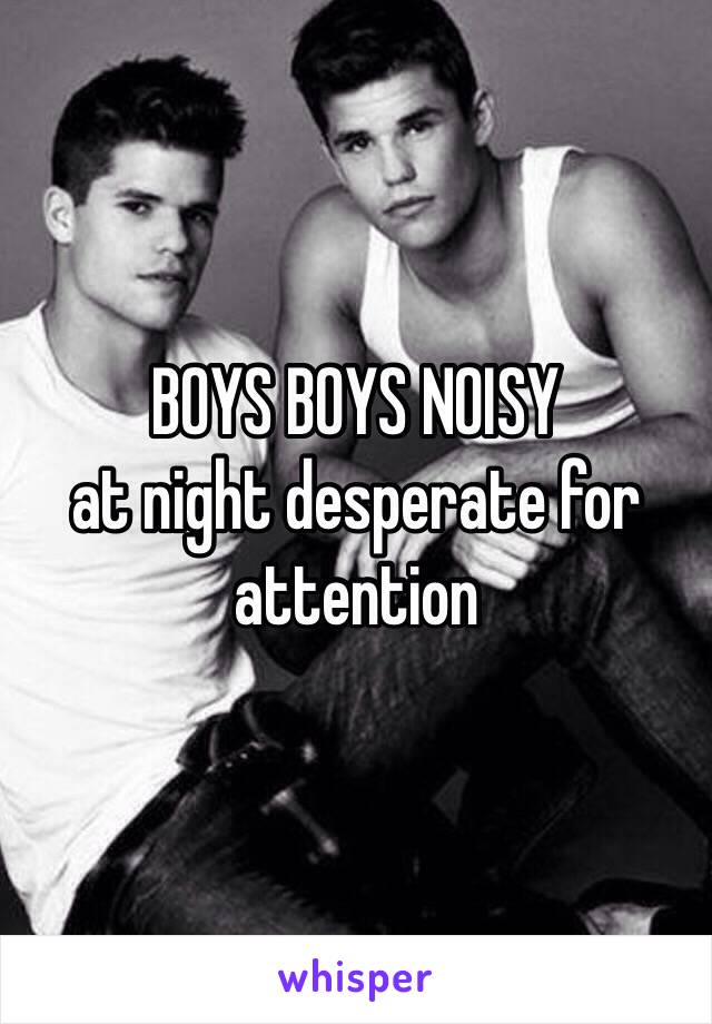 BOYS BOYS NOISY
at night desperate for attention 