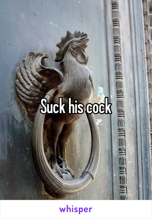 Suck his cock