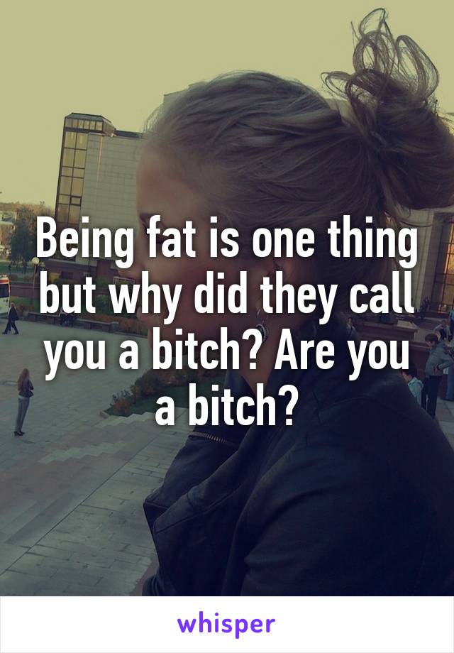 Being fat is one thing but why did they call you a bitch? Are you a bitch?